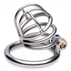 The Pen Deluxe Stainless Steel Locking Chastity Cage