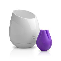 JimmyJane Pure - UV Reinigingslamp + Love Popd Tre Edition -2