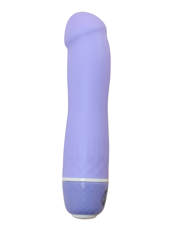 Paarse Silicone Vibrator